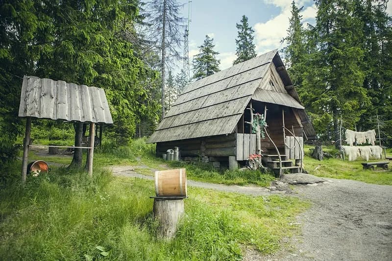 Najlepsze bacówki z oscypkami, które musisz odwiedzić w Tatrach