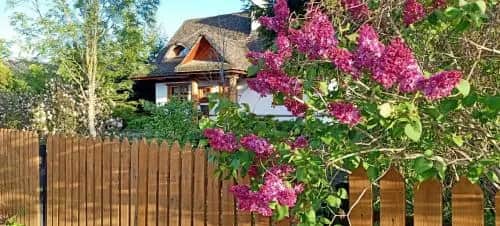 Białowieski Dworek: Idealne miejsce na relaks w Białowieży