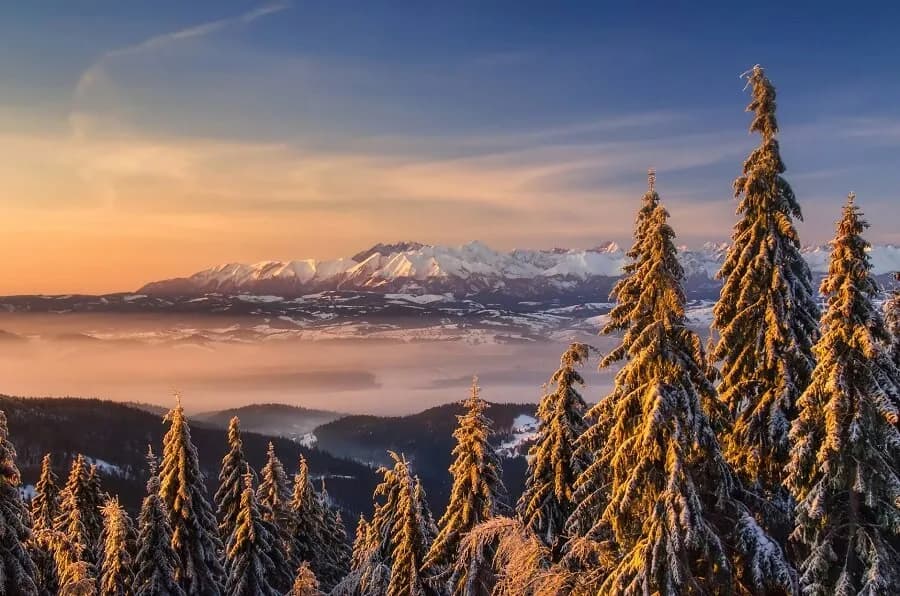 Jakie szlaki w Zakopanem dla początkujących - łatwe trasy z widokami