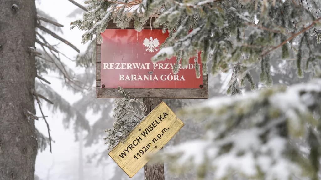 Jaki szlak na Baranią Górę? Odkryj trudności i długości tras